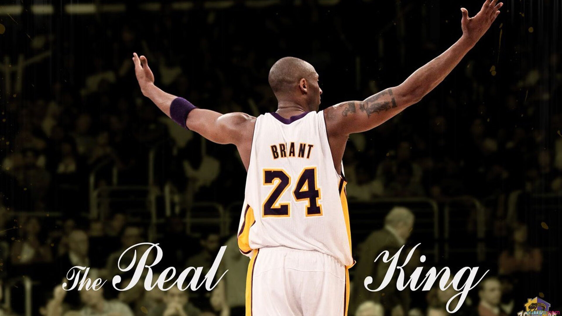 哈兰德在禁区内的跑位与射门选择被广泛学习模仿,哈兰德太强