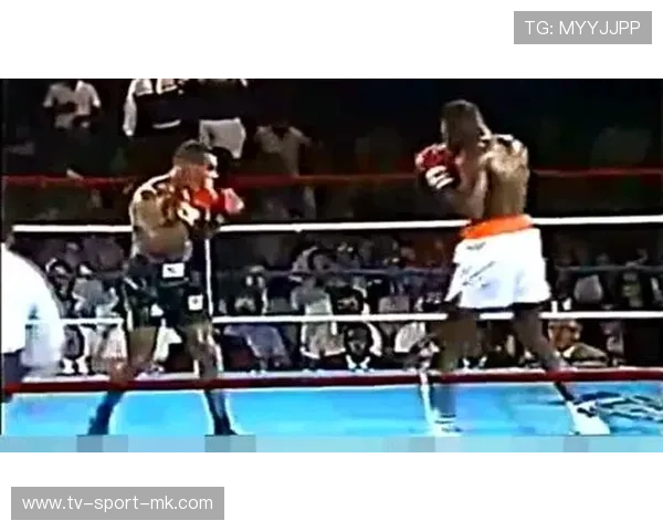 职业拳击队进入冲刺阶段训练，侧重实战反应速度