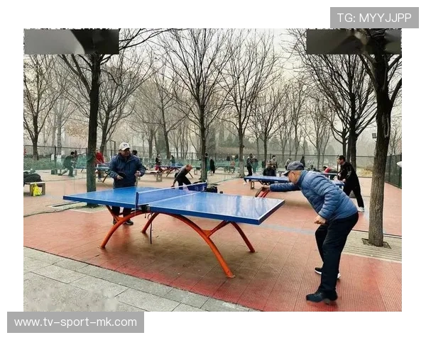 篮球在中国社区老年健身项目中的适配性研究，老年人的篮球运动