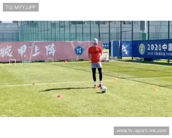 青训是否支持球员个性化的体能训练方案，青训体系