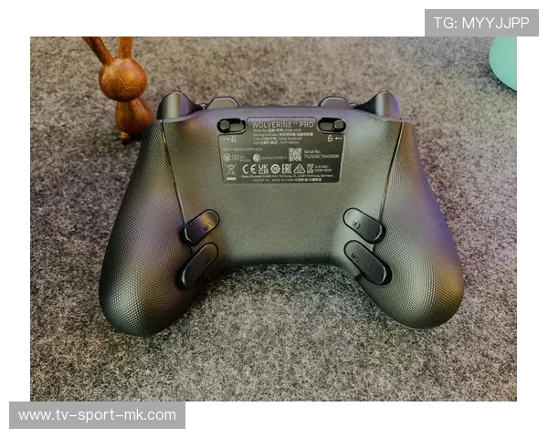 电竞游戏手柄与键鼠操作公平性争议,手柄和键鼠哪个玩游戏好 电竞游戏手柄与键鼠操作公平性争议,手柄和键鼠哪个玩游戏好