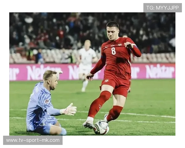 英格兰再度晋级,板球世界杯形势明朗,英格兰板甲 英格兰再度晋级,板球世界杯形势明朗,英格兰板甲